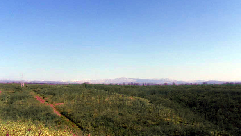 Parcelas Urbanas en Estrella de Izar