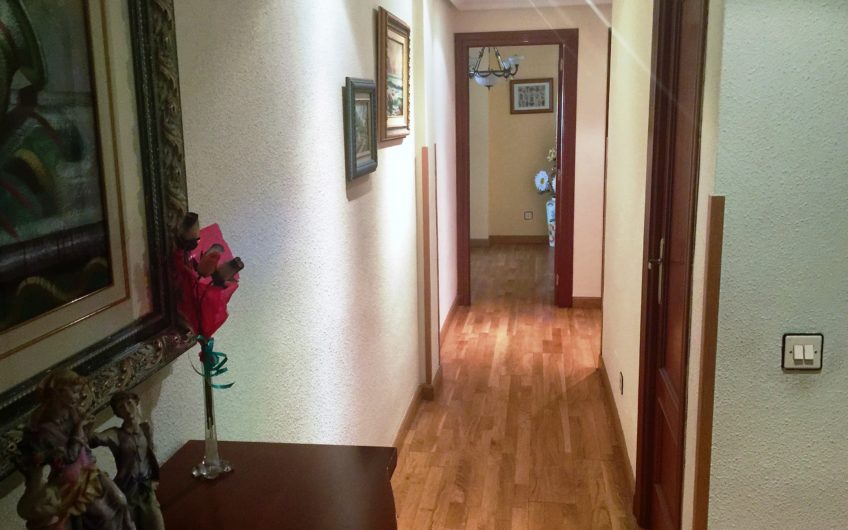 Apartamento amueblado con ascensor y garaje en calle Velasquita