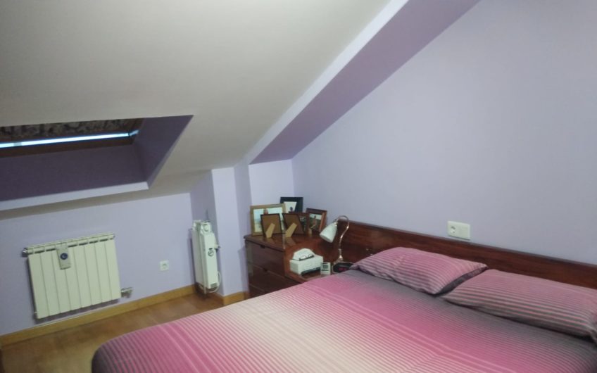 Impecable dúplex en Cardenal Cisneros-Anunciata