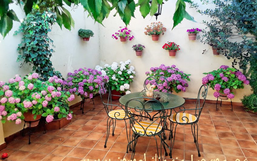 Sorprendente Casa en León.