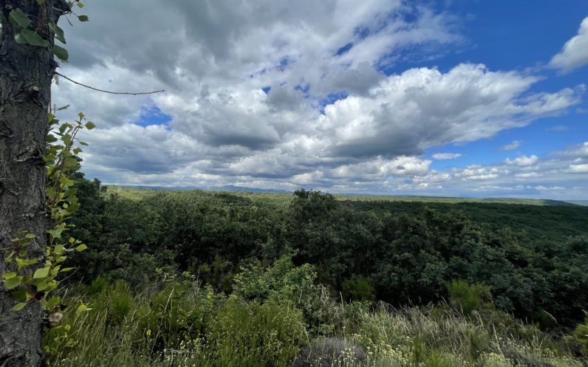 Parcelas Urbanas en Estrella de Izar