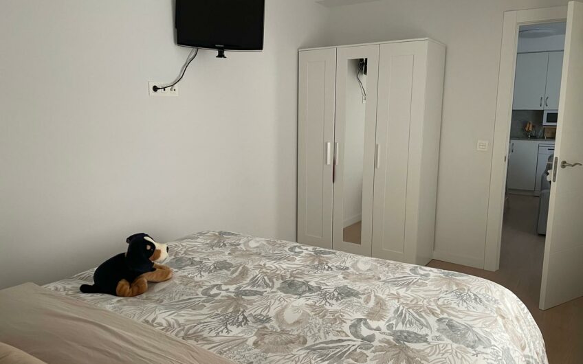 Apartamento Céntrico Reformado