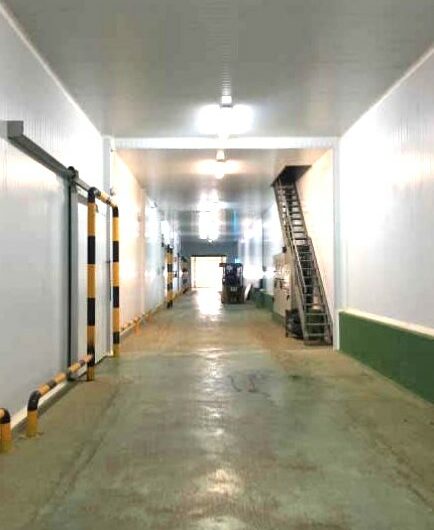 Alquiler Nave Industrial Frigorífica