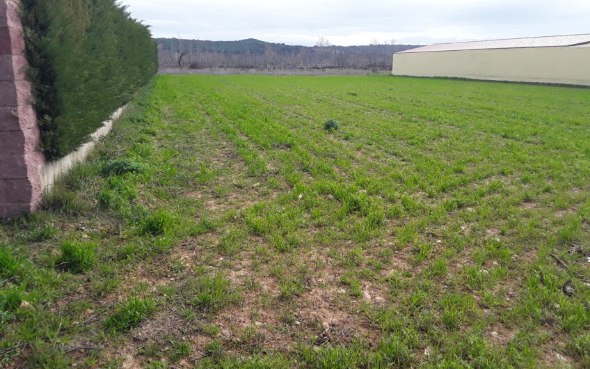 Parcela Urbana en Villarrodrigo de las Regueras