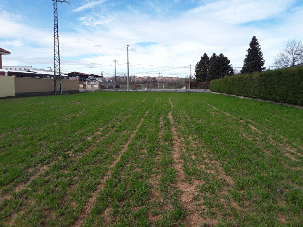 Parcela Urbana en Villarrodrigo de las Regueras